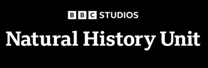 Screenshot 2024 10 12 at 10.35.12